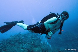I like to dive "naked" the last day